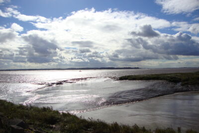 Figure 4: Humber Foreshore. Image by C. Speakman.