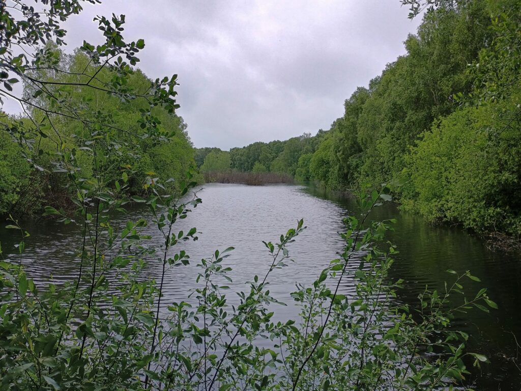 Hatfield Moors visit PLACE